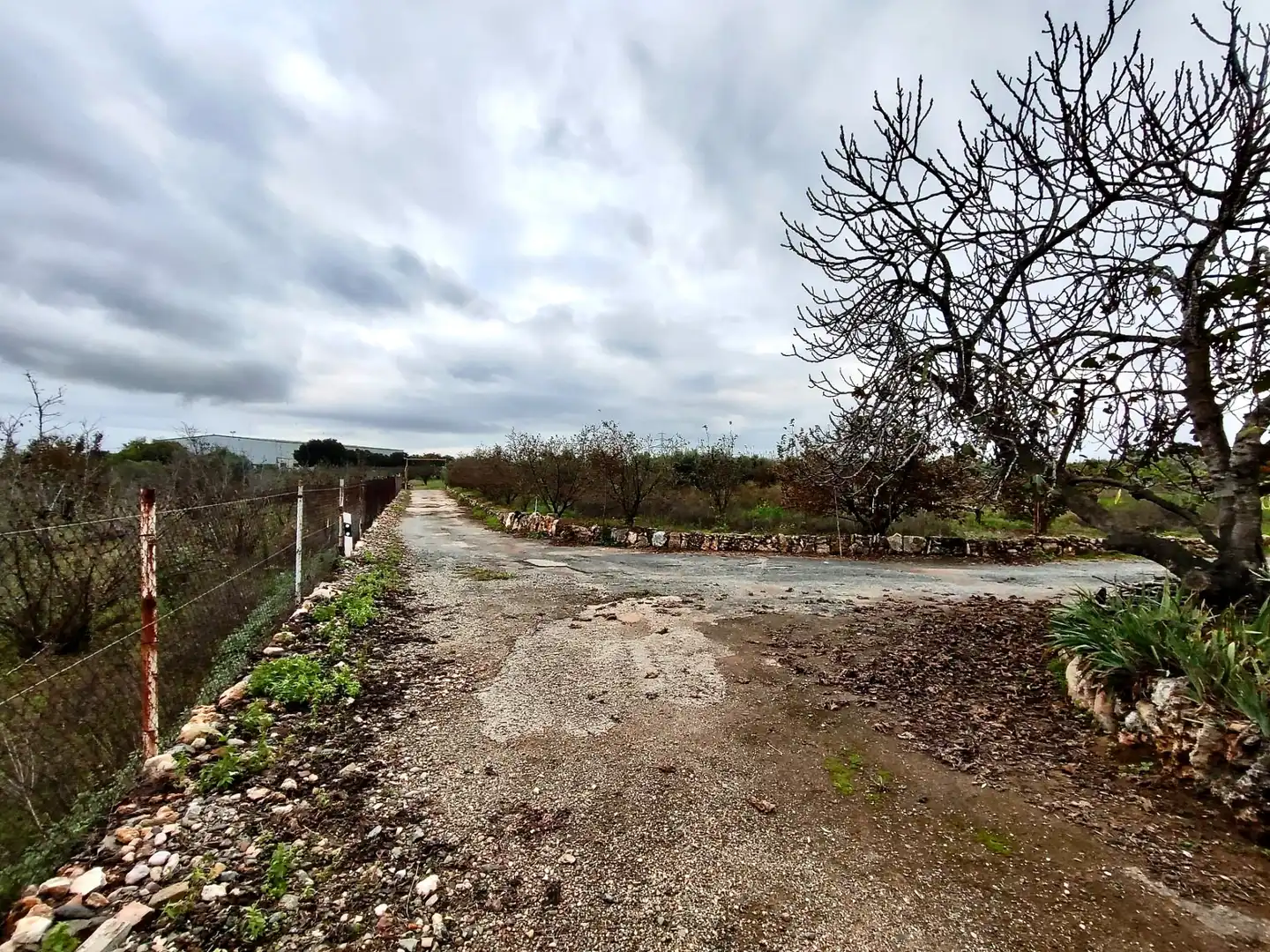 Land for sale in Vilallonga del Camp