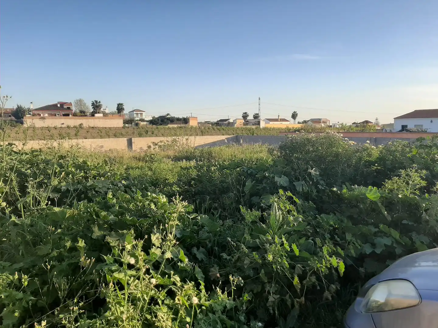 Terrenys i solars en venda a Villaverde del Río, imagen 4