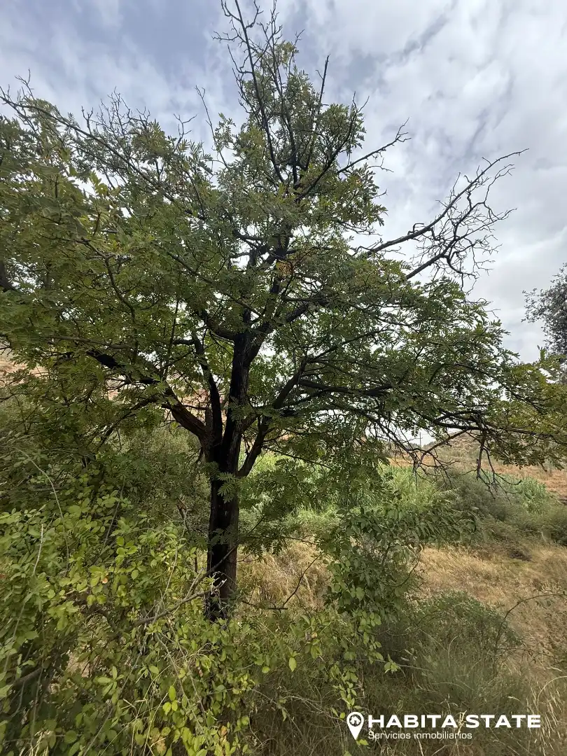 Land for sale in Chercos