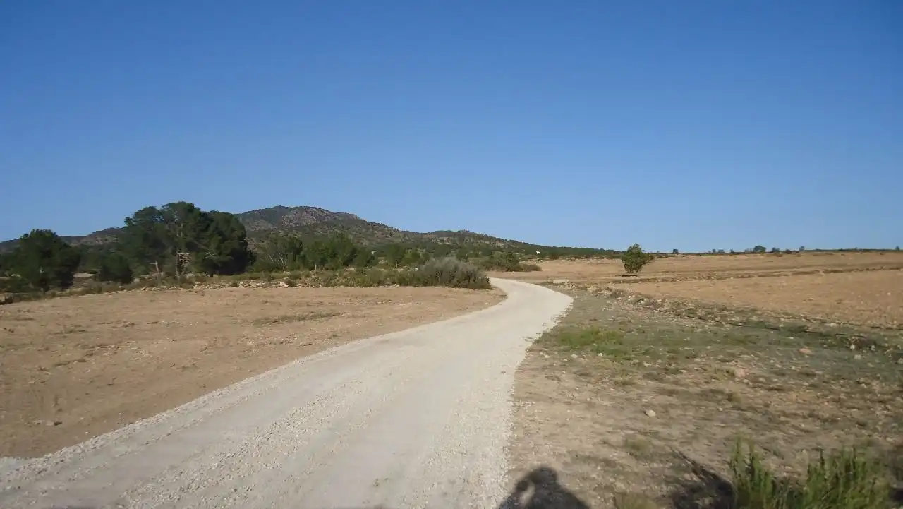 Terreni e lotti in vendita a Yecla, imagen 4
