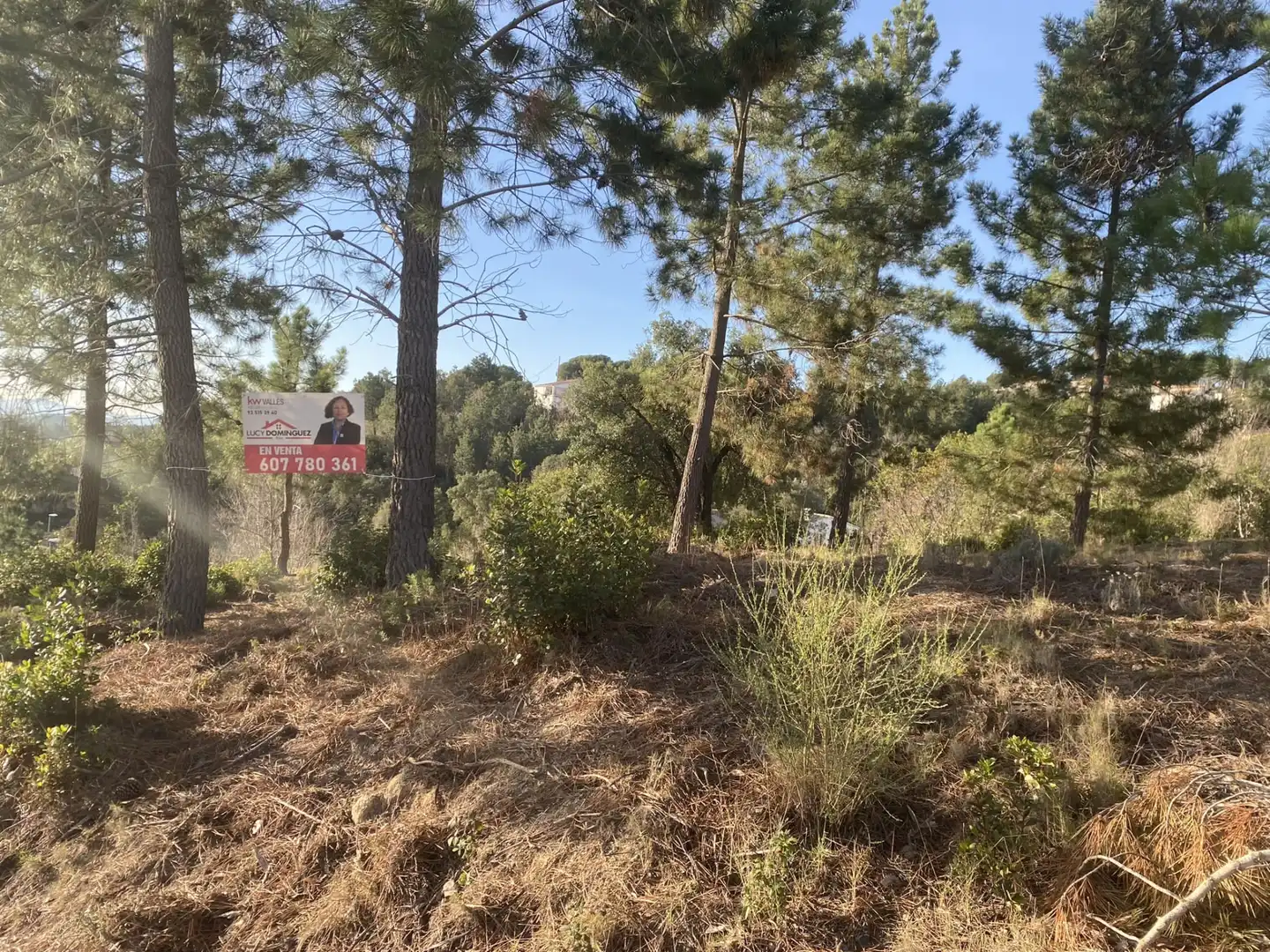 Terreno residencial en venta en Calle Pollancre 28, imagen 18