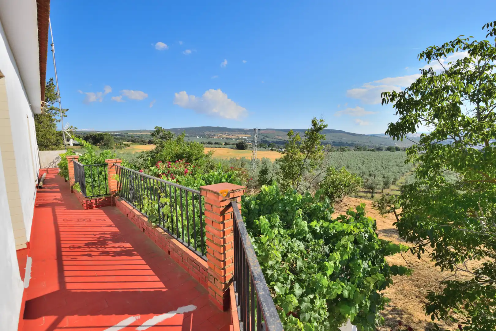 Terraza de Finca rústica en venta en Setenil de las Bodegas con Jardín privado, Terraza y Trastero