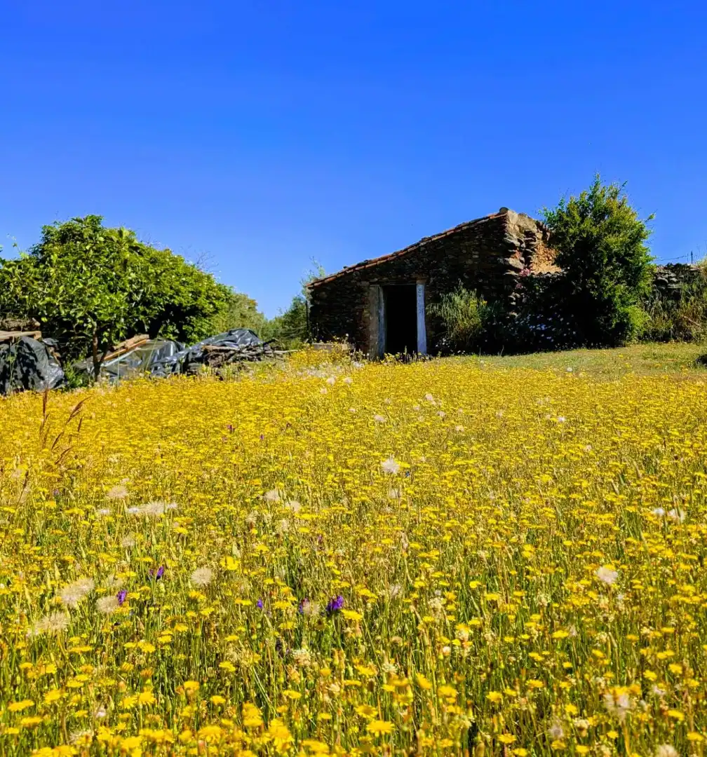 Jardín de Casa o chalet en venta en Puerto Moral con Jardín privado, Terraza y Trastero
