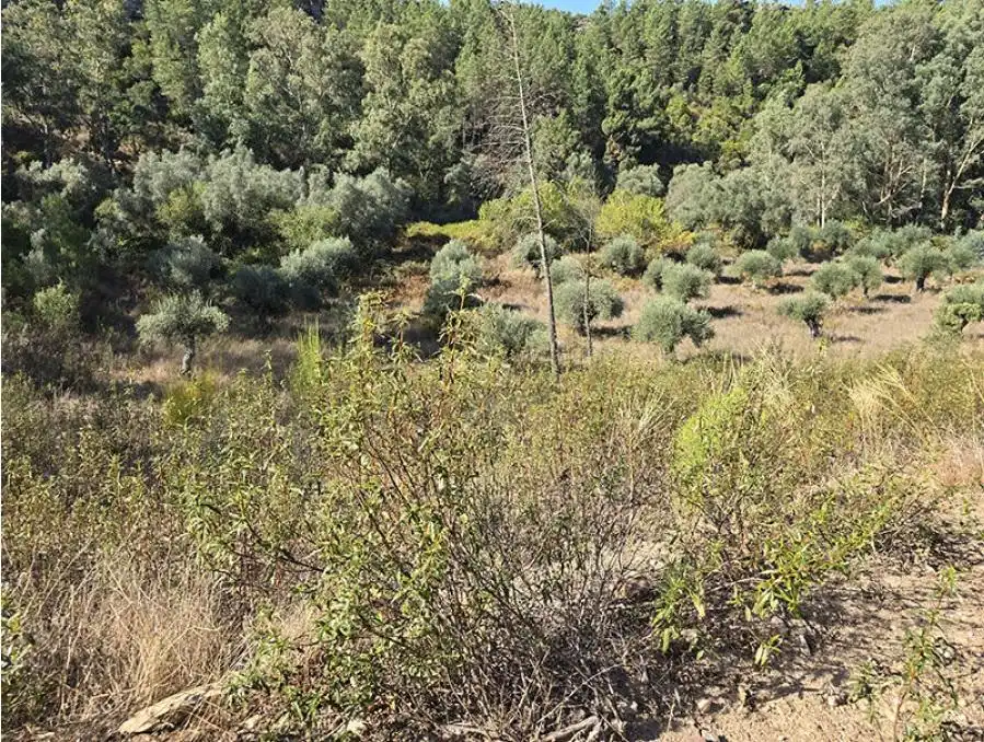 Terreni e lotti in vendita a Pedanías de Badajoz, imagen 3