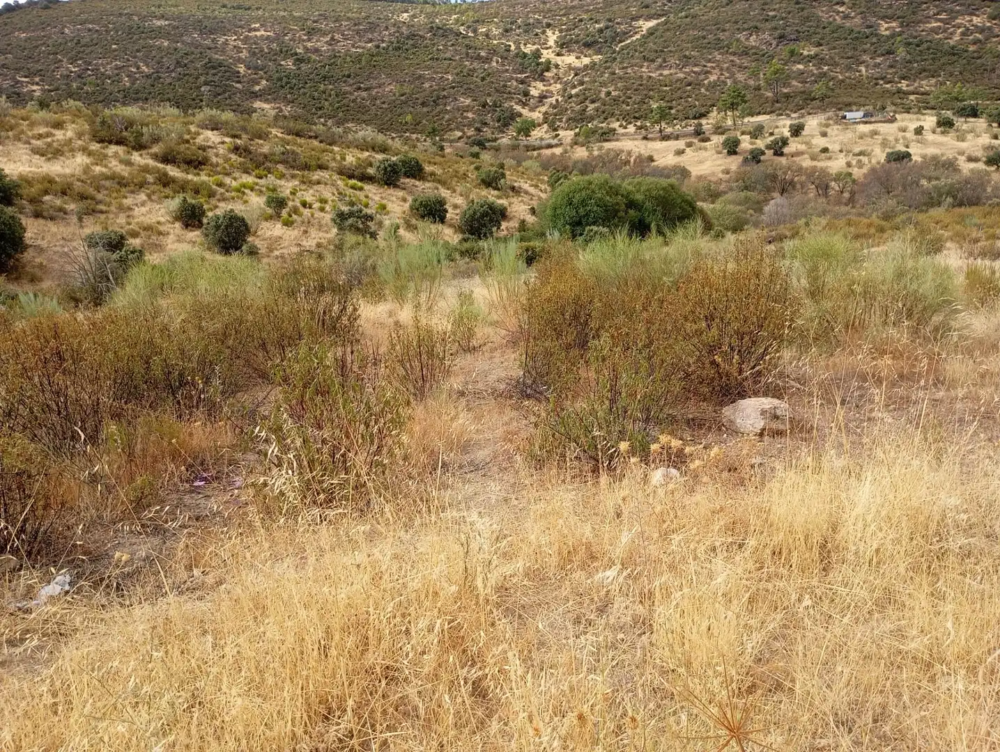 Terrenos y solares en venta en Robledo de Chavela, imagen 26