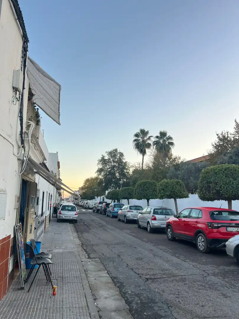 Vista exterior de Nave industrial en venta en Los Palacios y Villafranca
