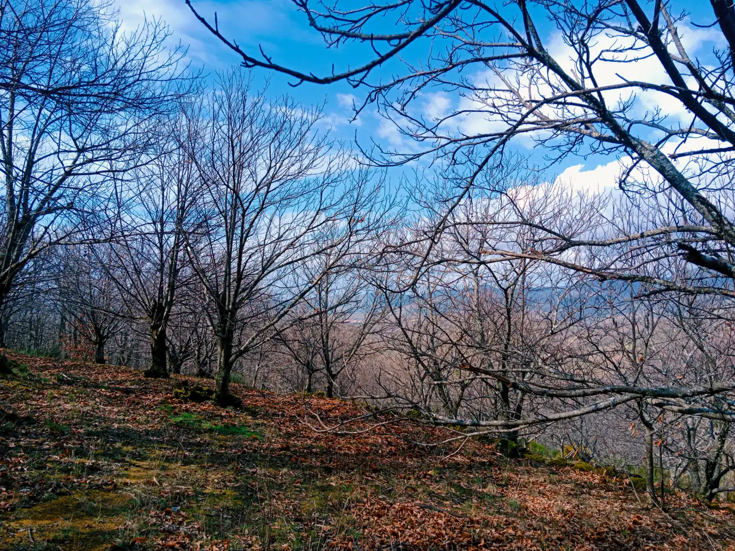 Terreni e lotti in vendita a Arroyomolinos de la Vera, imagen 16