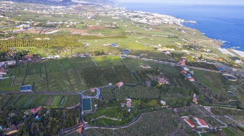 Finca Rústica en El Rincón La Orotava