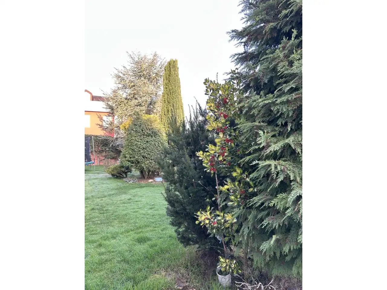 Jardín de Casa o chalet en venta en Castrillo del Val con Calefacción, Jardín privado y Terraza