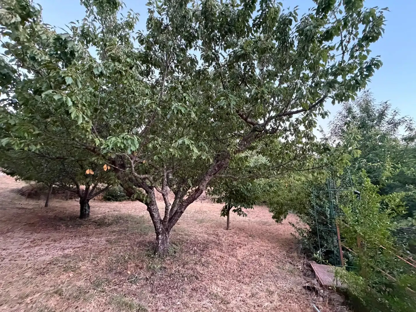 Finca rústica en venta en El Arenal  con Amueblado