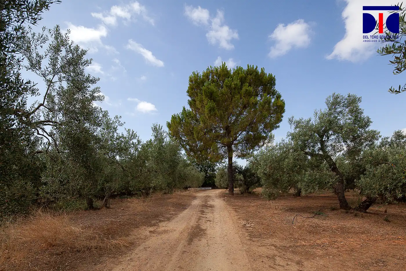 Finca rústica en venta en Carmona con Jardín privado, Terraza y Piscina