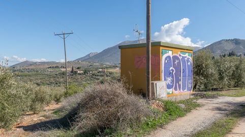 Terreno rústico en Cogollos Vega, con toma de luz y agua en la entrada, imatge 2
