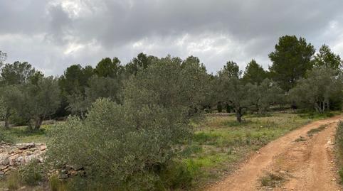 Foto 5 de Finca rústica en venta en 63 Parc.