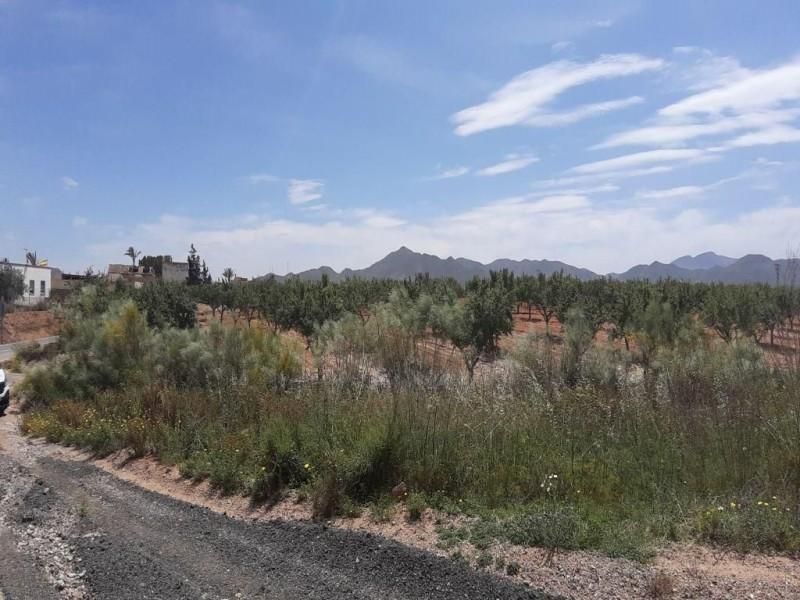 Grundstücke zum verkauf in Fuente Álamo de Murcia