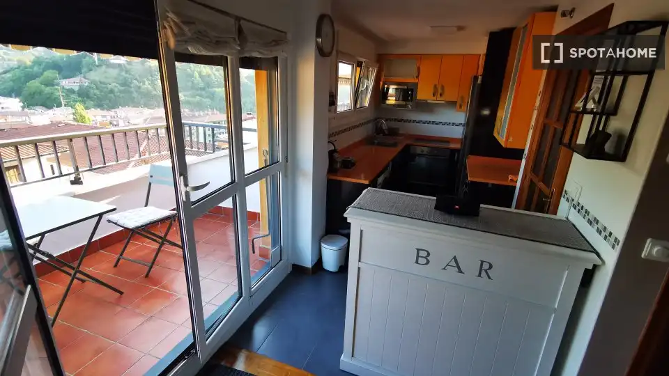 Cocina de Apartamento para compartir en Ibarra con Aire acondicionado, Calefacción y Terraza