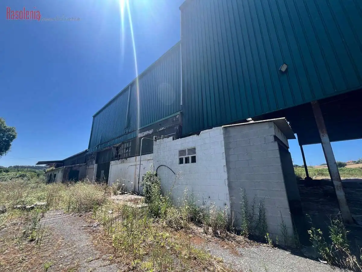 Industriegebäude zum Verkauf in Ribo 6, imagen 19