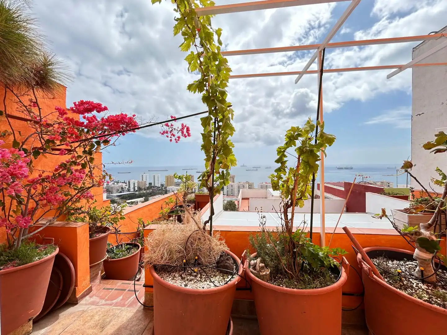 Terrassa de Casa o xalet en venda en Las Palmas de Gran Canaria amb Terrassa i Moblat