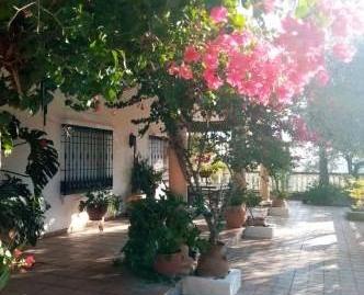 Photo 2 of House or chalet for sale in Alcolea, Córdoba