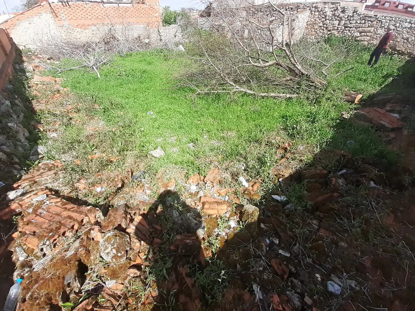 Terreni e lotti in vendita a Pinilla