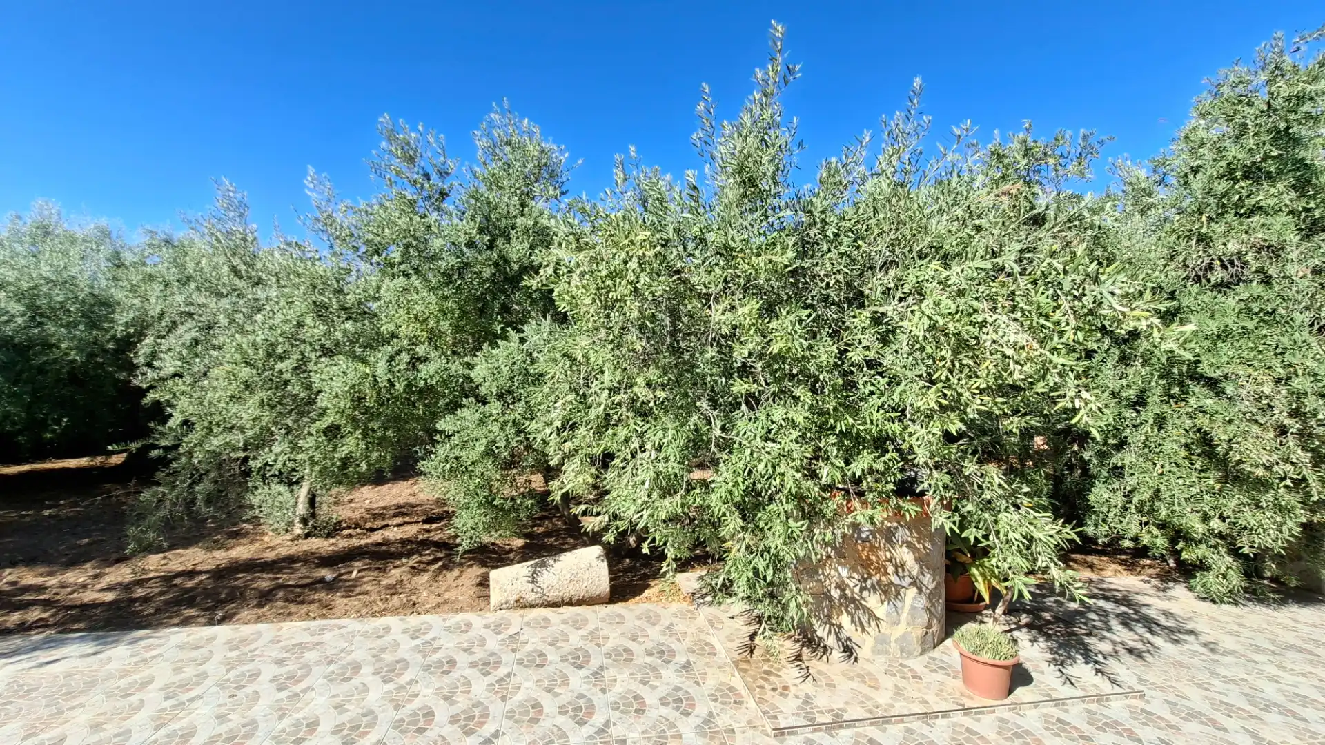 Houses for sale in Camí del Carreret, Los Girasoles