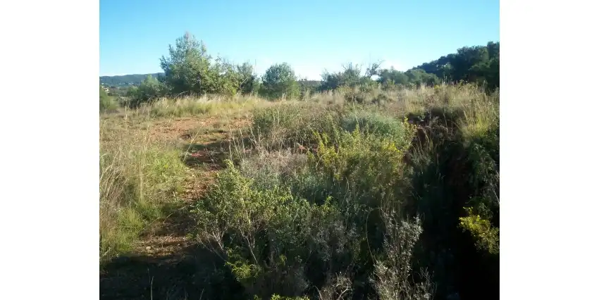 Residencial en venta en Albalat dels Tarongers
