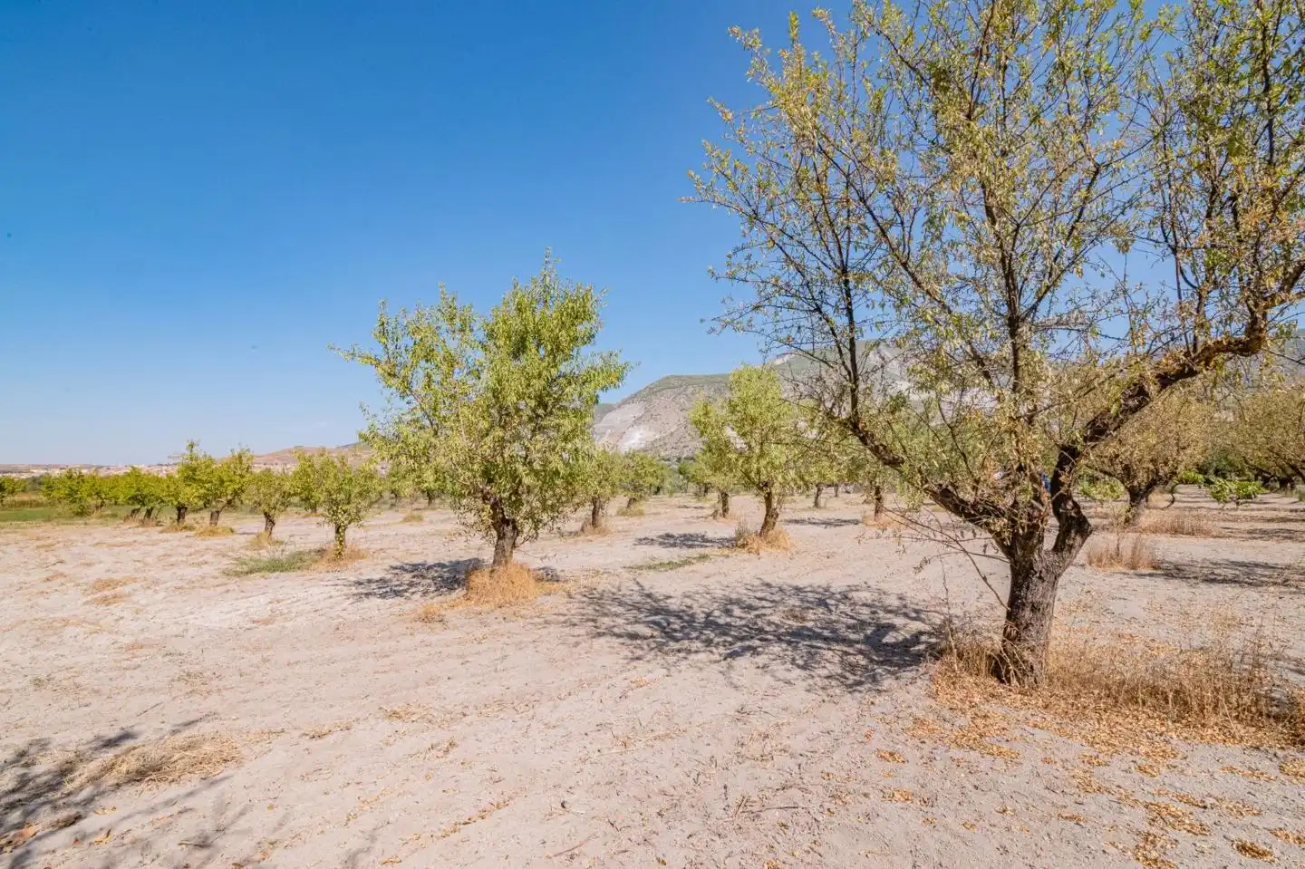 Country house for sale in Calle de Rocio Durcal, imagen 42