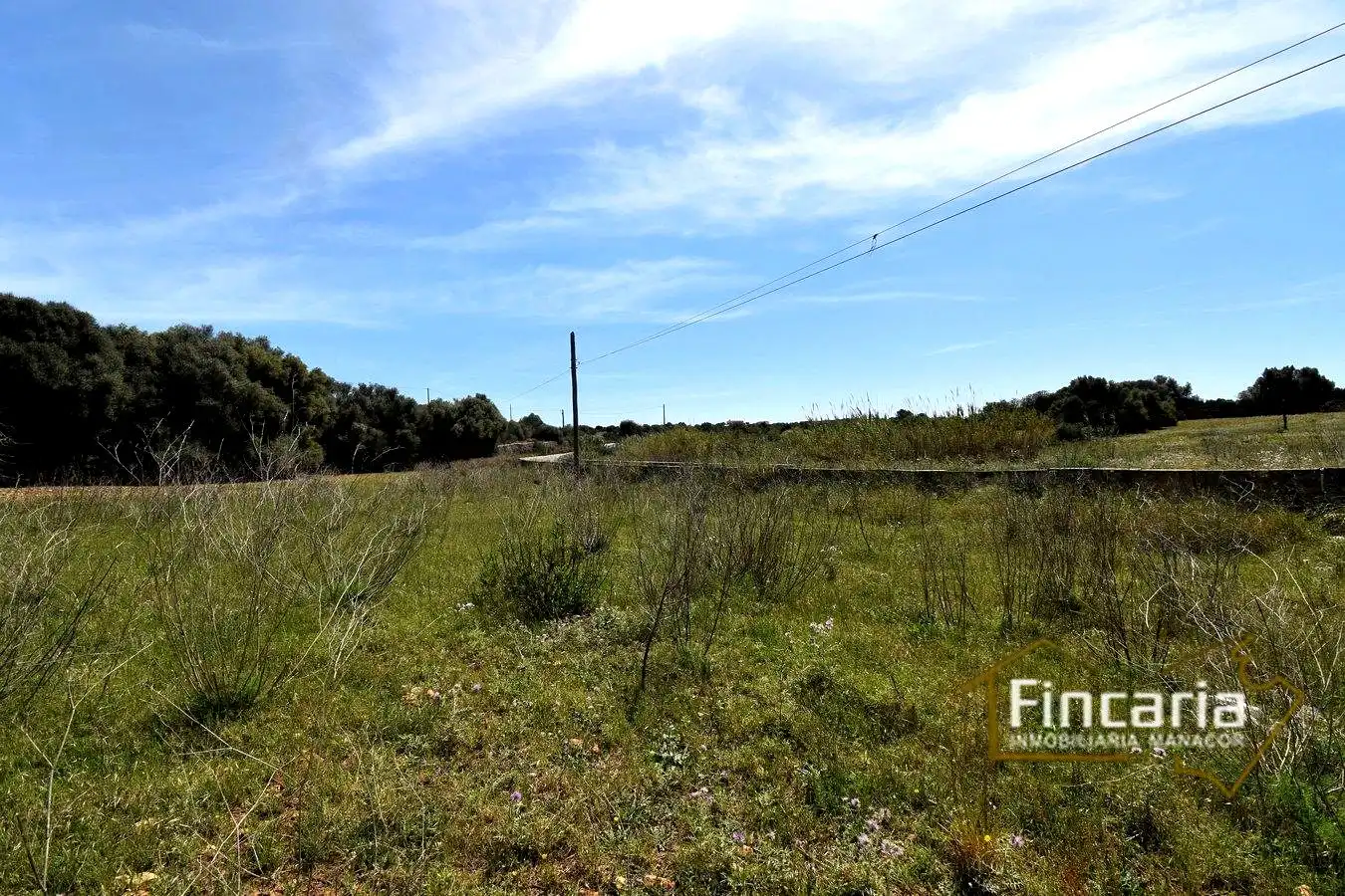 Rural land for sale in De La Torre Nova, imagen 23