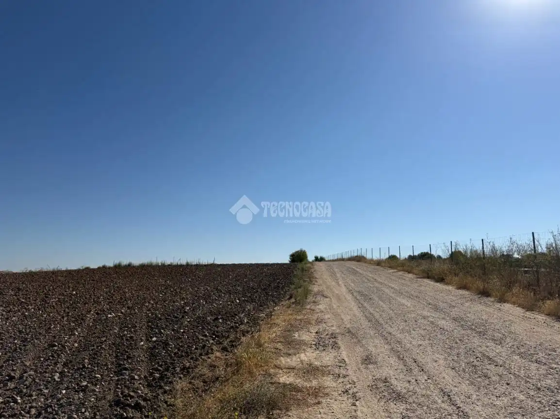 Terreny rústic en venda a Fuente El Saz de Jarama, imagen 17
