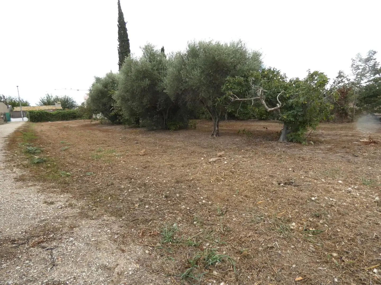Villa mit Garten zum Verkauf in El Llano, imagen 5