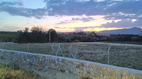 Photo 3 of Residential to rent in Pinos de Alhaurín, Málaga