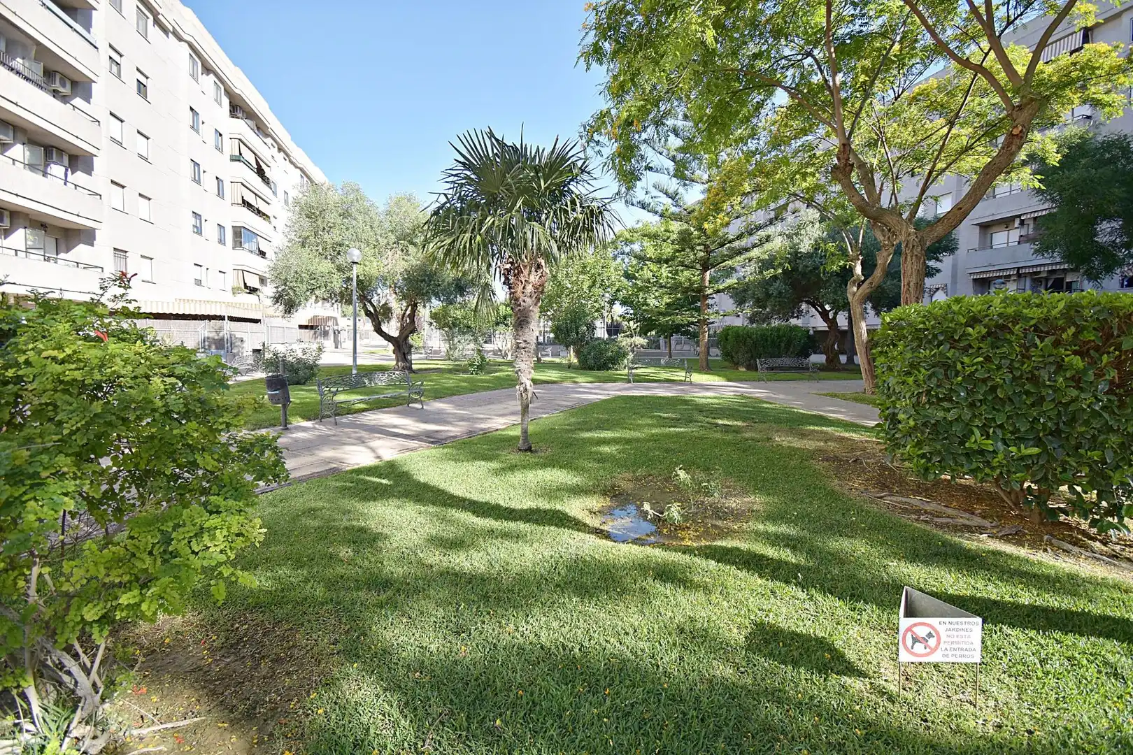 Exterior view of Flat for sale in Jerez de la Frontera  with Terrace, Balcony and Community pool