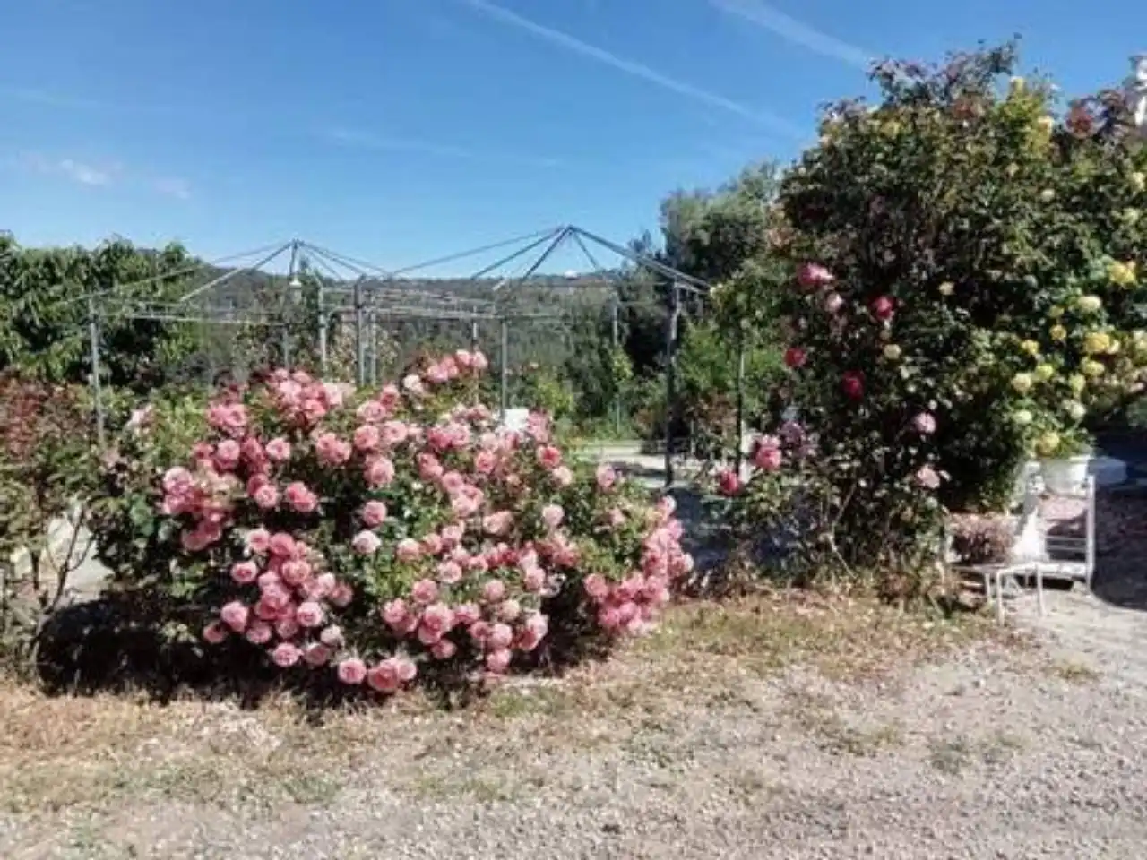 Garden of Houses for sale in Alcoy / Alcoi  with Terrace