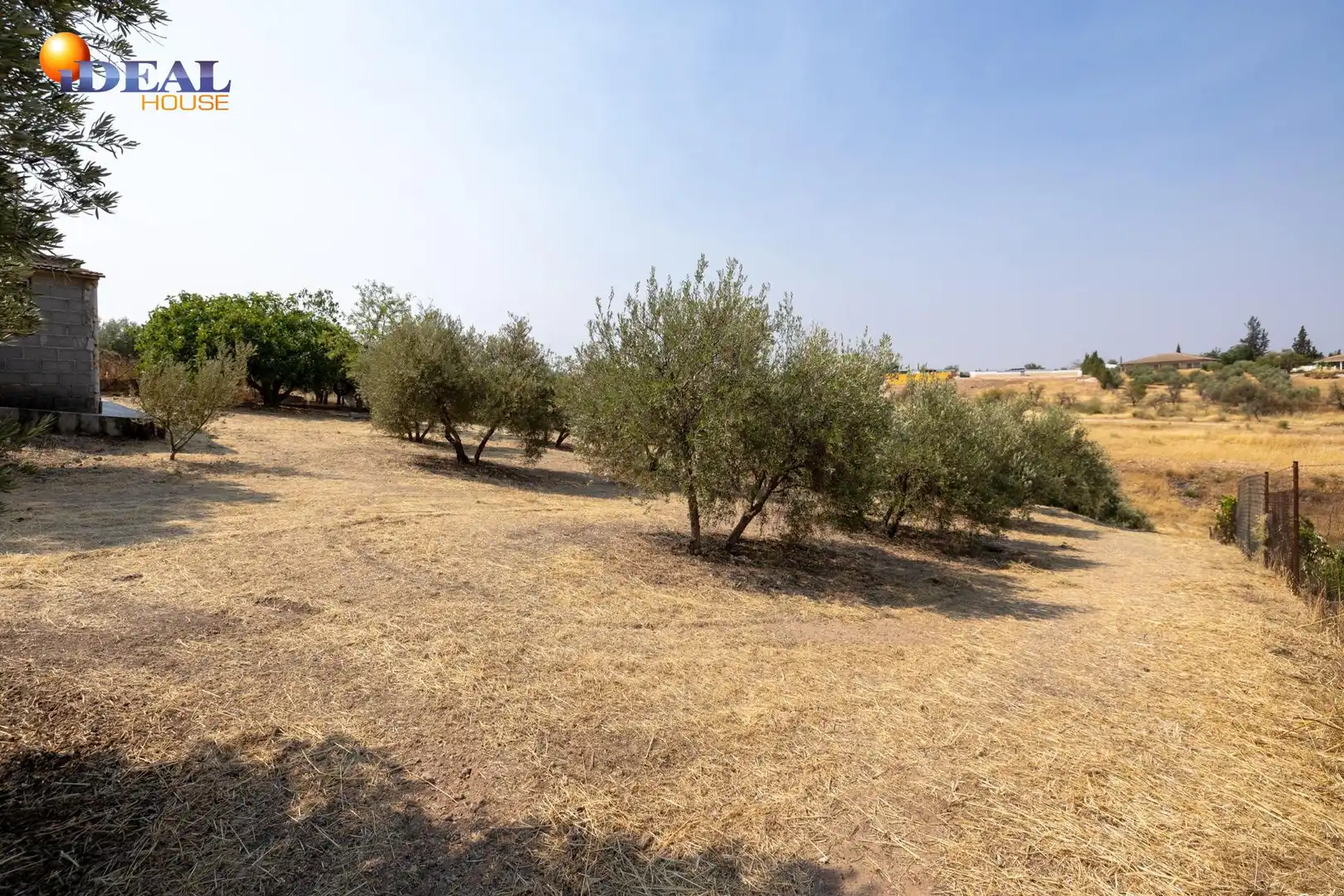 Finca rústica en venta en Moraleda de Zafayona