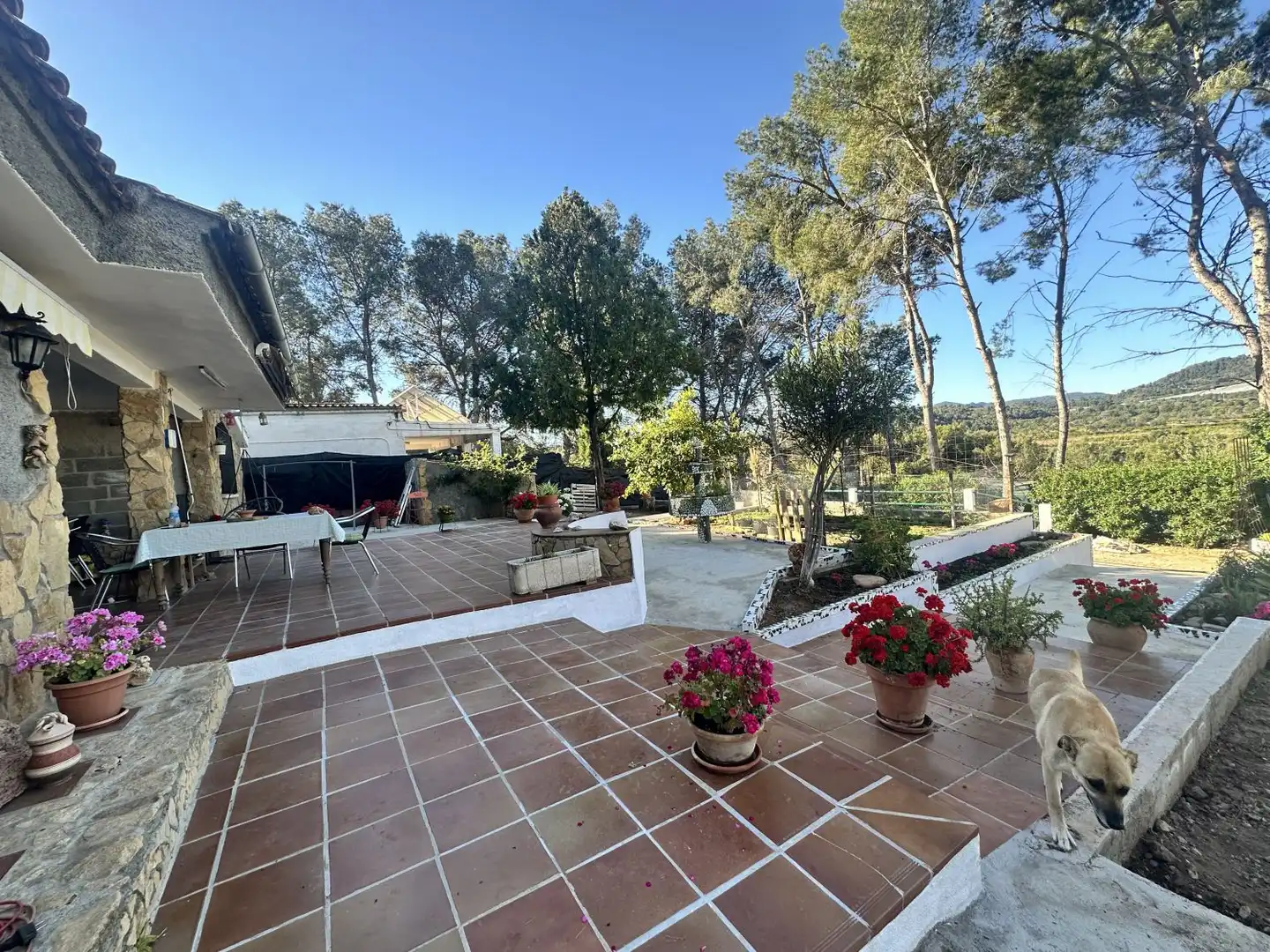 Terrace of Houses for sale in Alfara de la Baronia  with Heating, Private garden and Terrace