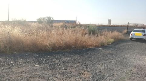 Foto 5 von Fabrik Grundstücke zum Verkauf in Carrión de Calatrava, Ciudad Real