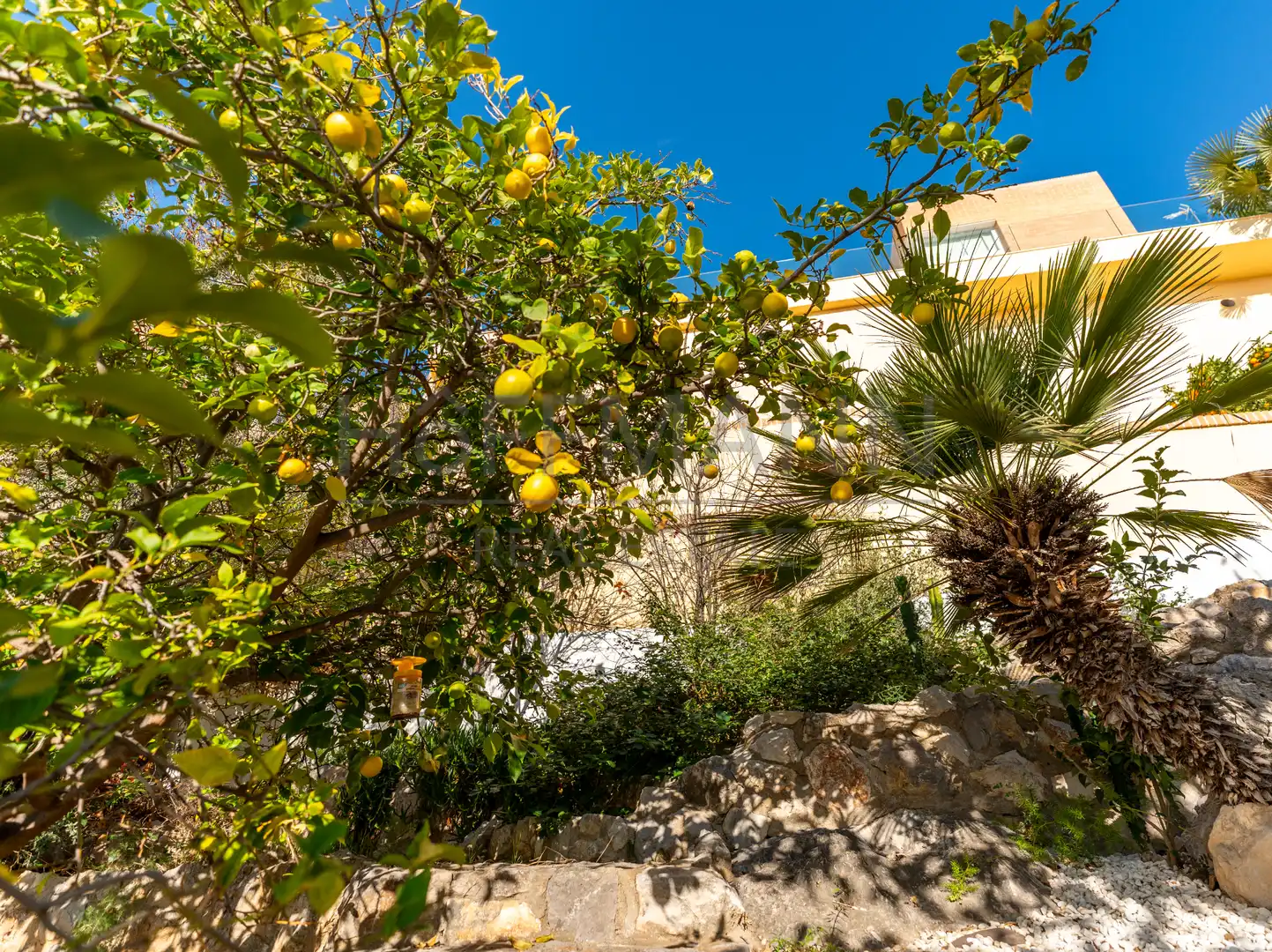 Jardín de Casa o chalet en venta en Sitges con Aire acondicionado, Calefacción y Jardín privado