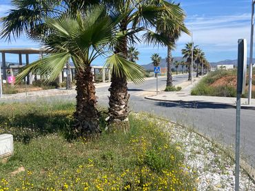 Terreno residencial en venta en Calle Margarita Salas 101