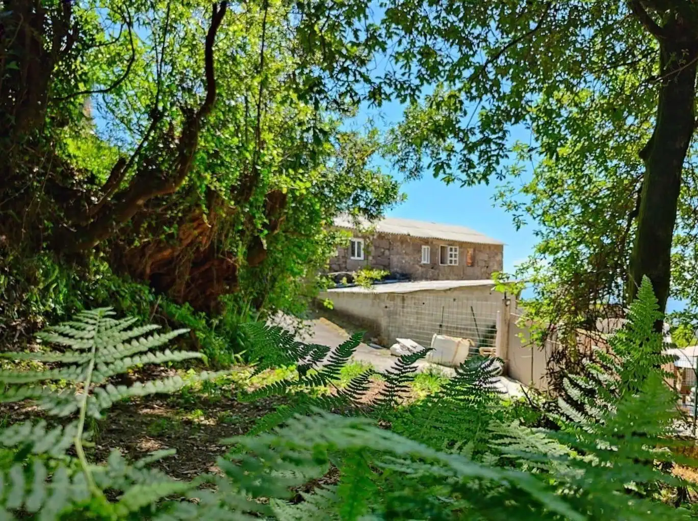 Garden of Houses for sale in Tui  with Private garden