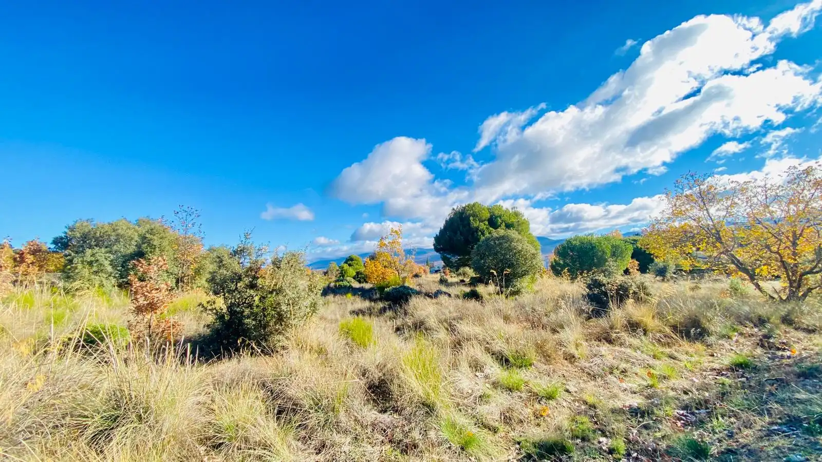 Terreno residencial en venta en Avenida de México 32, imagen 11