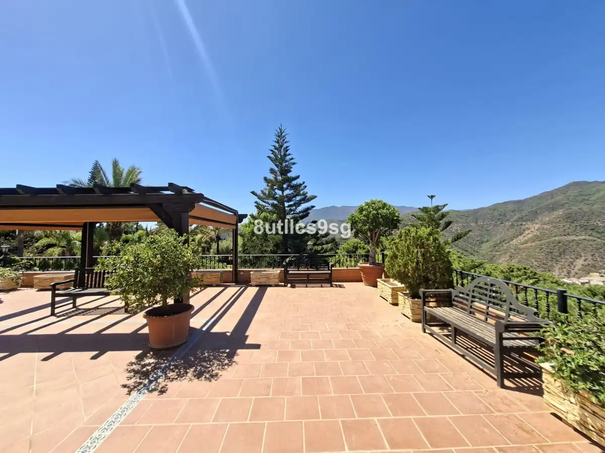 Vista exterior de Finca rústica en venta en Istán, Málaga