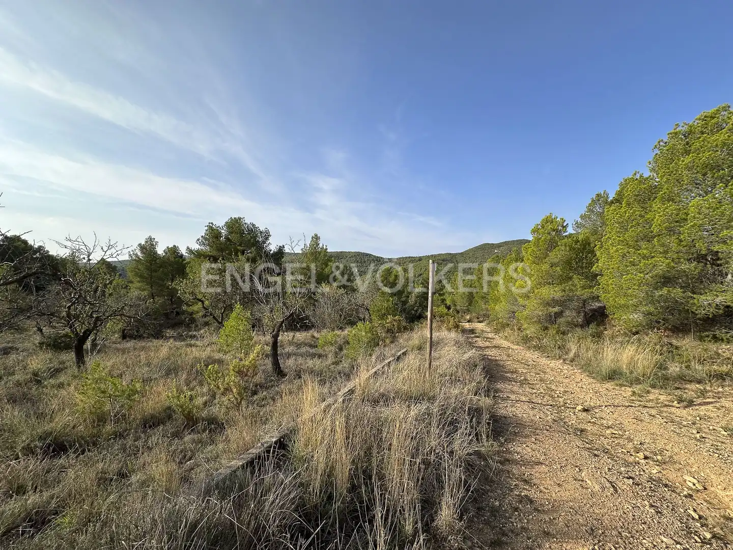 Residential land for sale in Torrelles de Foix, imagen 10