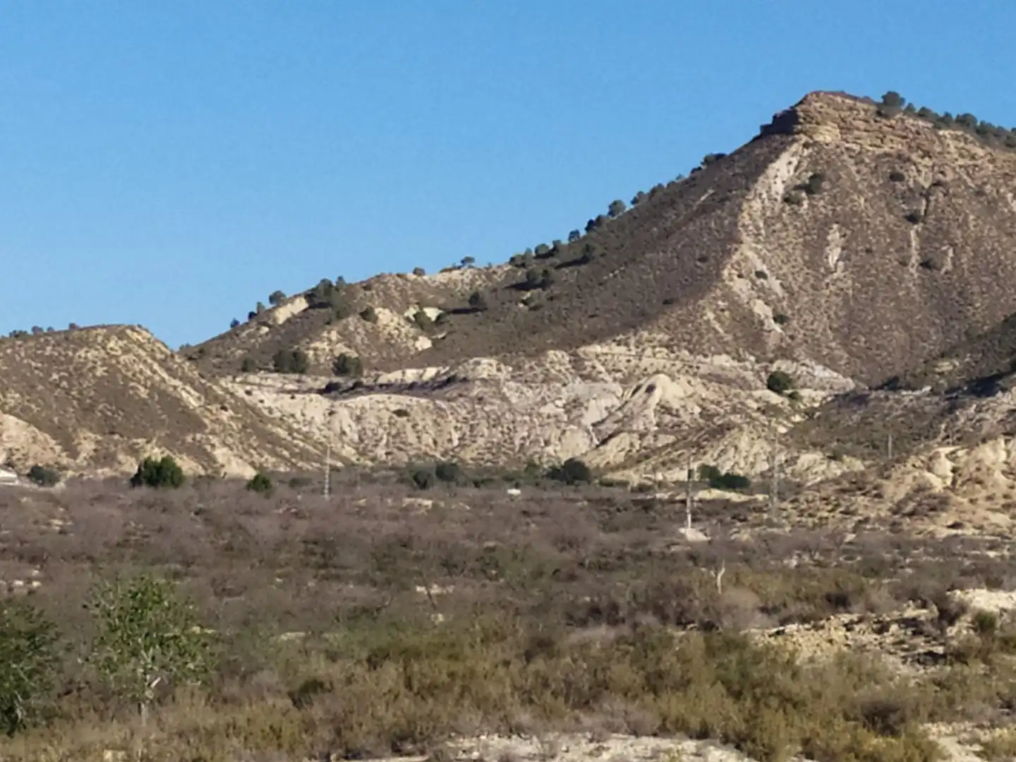 Vista exterior de Terreno en venta en Elche / Elx