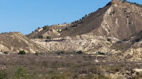 Foto 3 de Terreno en venta en Carrer Orihuela, 3, Ciutat Esportiva, Elche / Elx