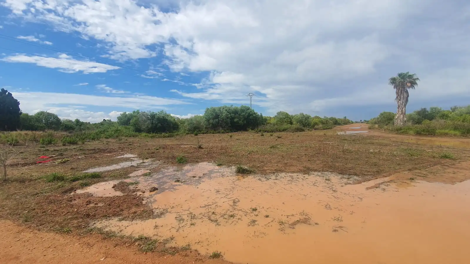 Terreno residencial en venta en Centro, imagen 3
