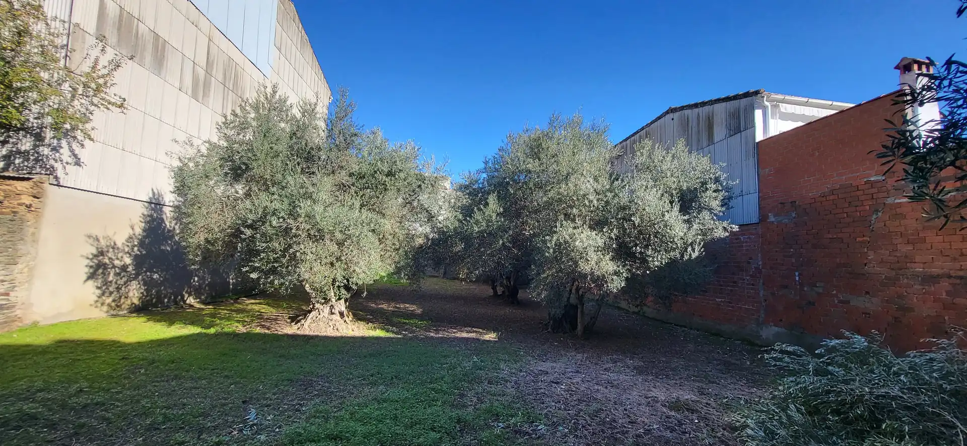 Terreni e lotti in vendita a Plaza San Gregorio, imagen 3