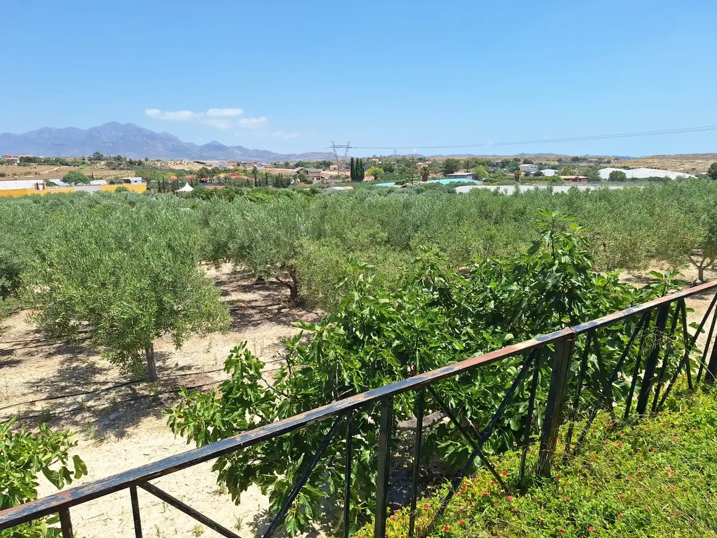 Casa o xalet en venda en Alicante / Alacant amb Jardí privat, Terrassa i Traster