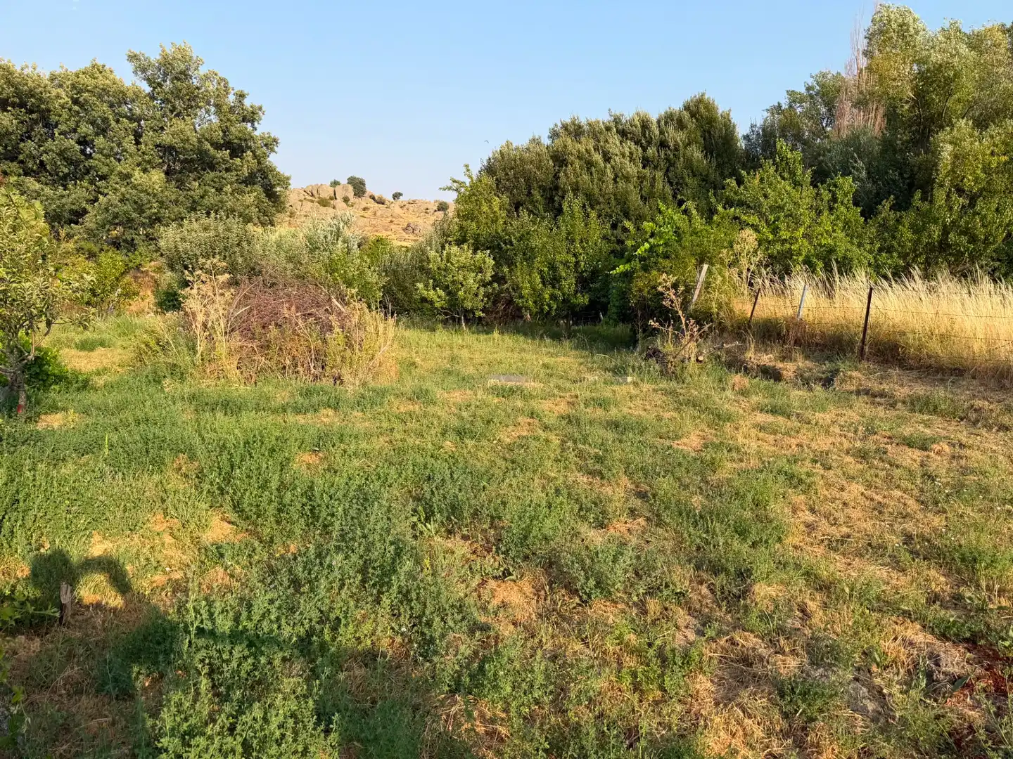 Casa o chalet en venta en Cillán