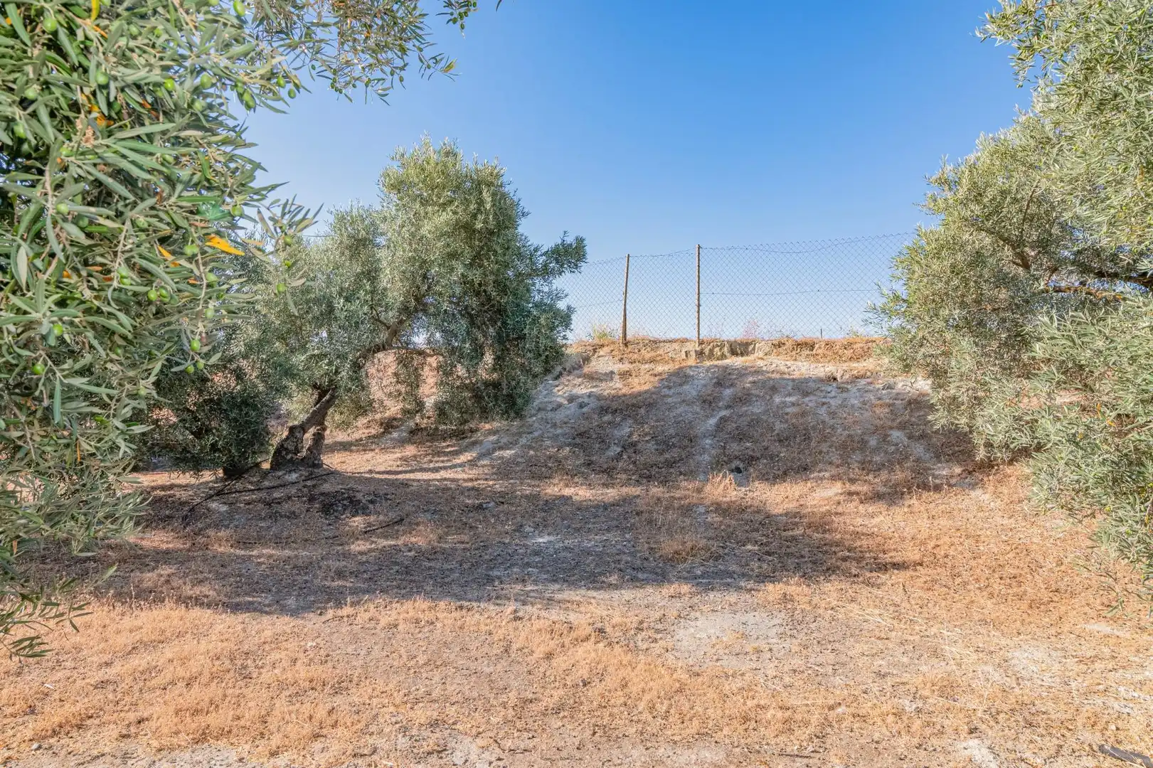 Apartments for sale in Santa Fe