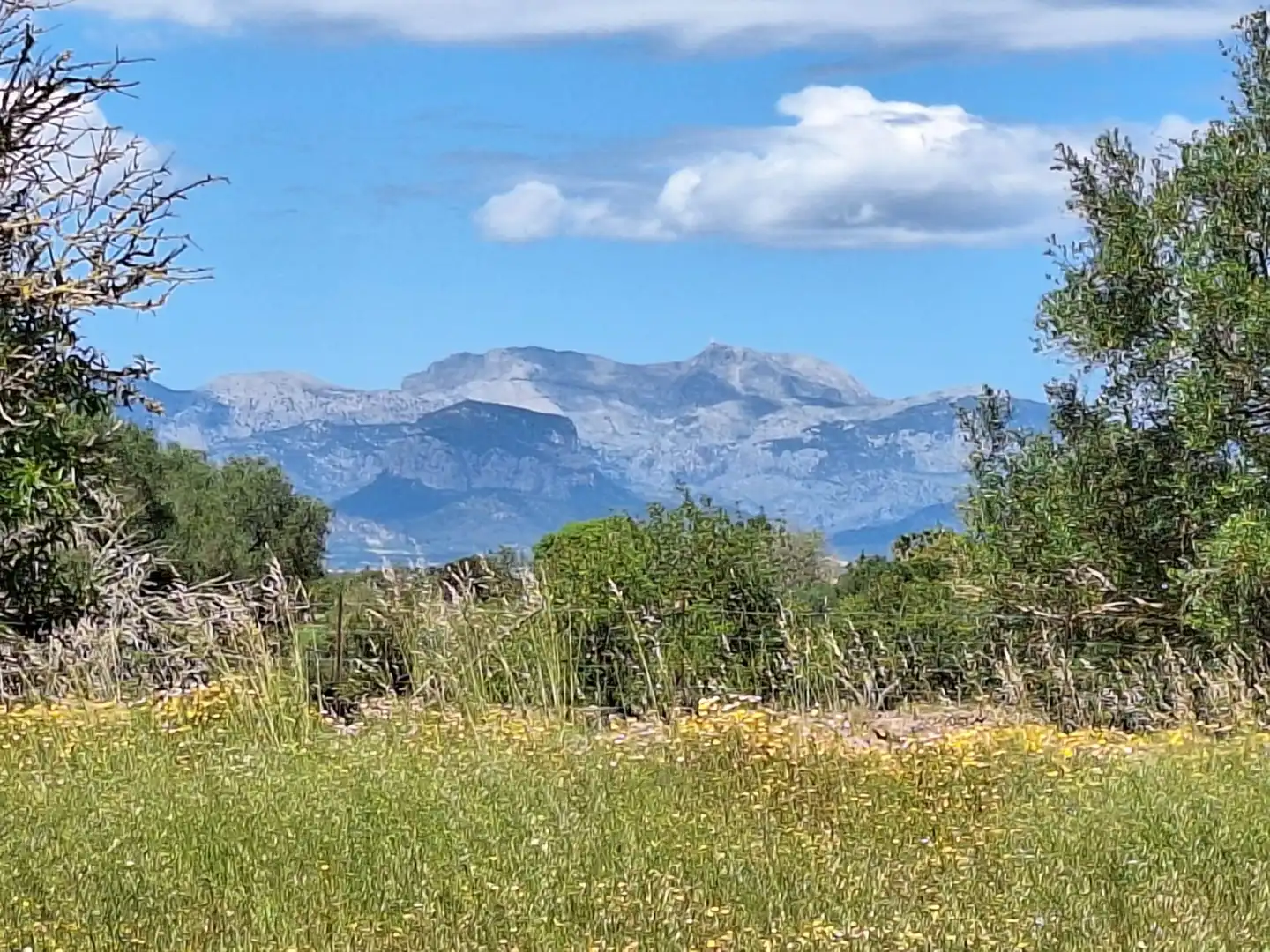 Finca rústica en venta en Algaida