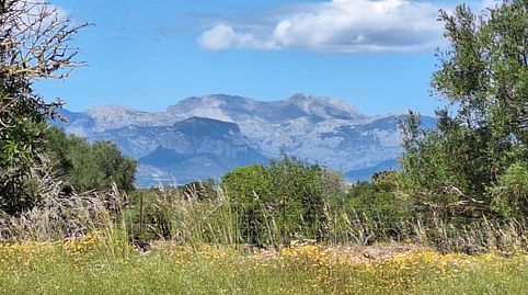 Foto 2 de Finca rústica en venda a Algaida, Illes Balears